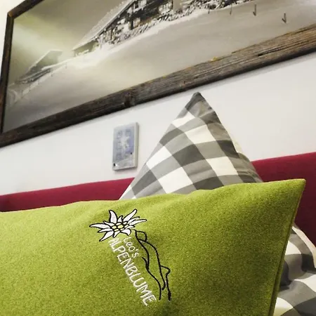 公寓 Leos Alpenblume Inklusive Sommer Bergbahnticket *